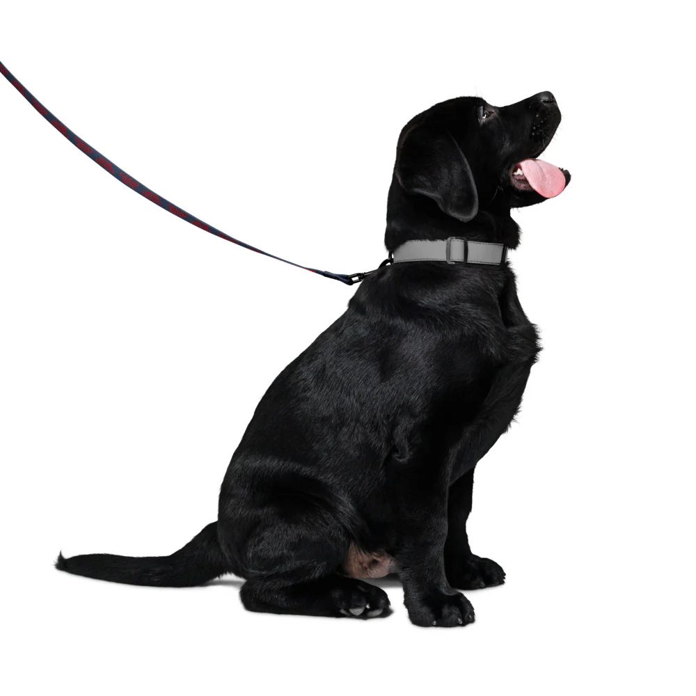 Good Boy Logo Pet Leash - Image 4