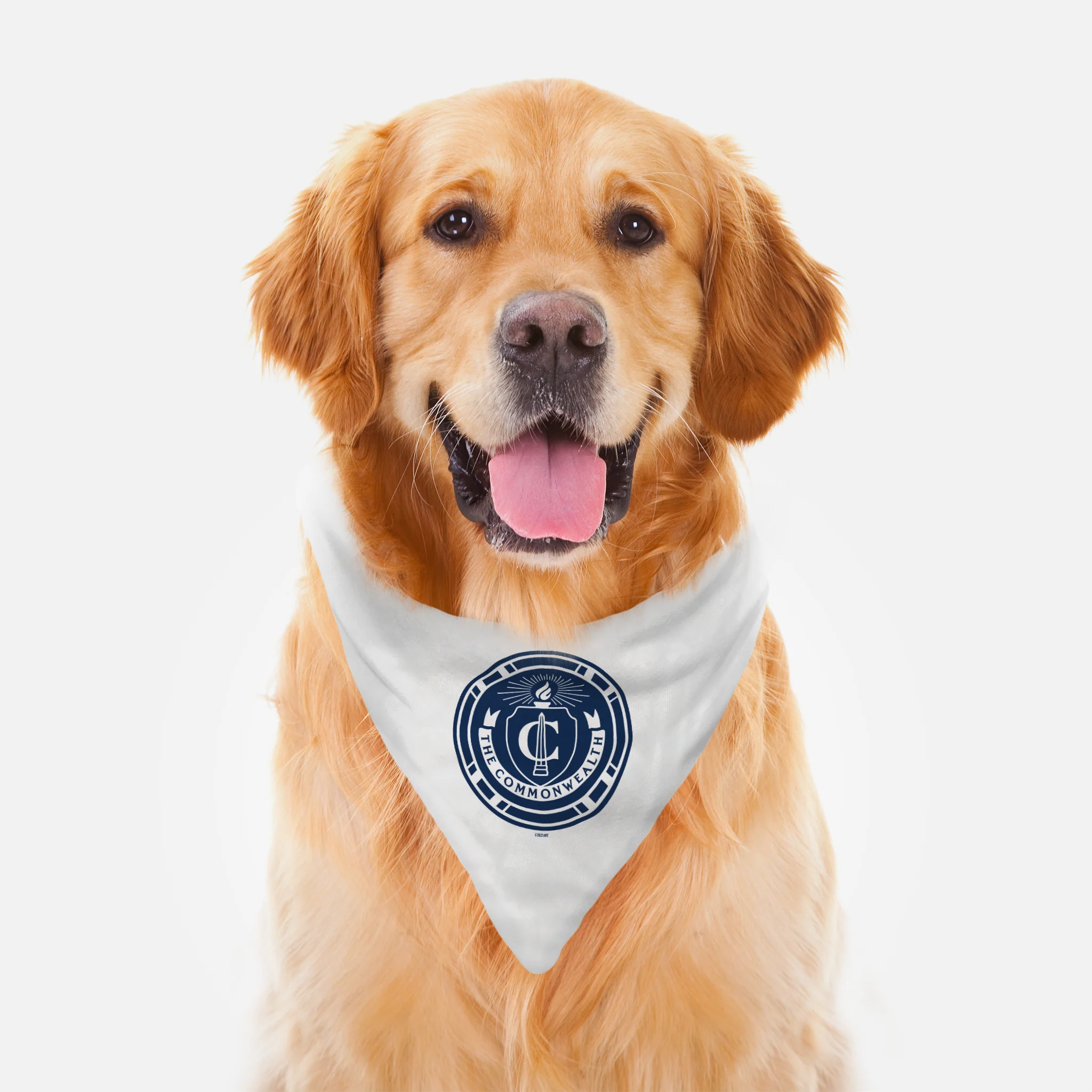The Walking Dead Commonwealth Seal Pet Bandana - Image 2