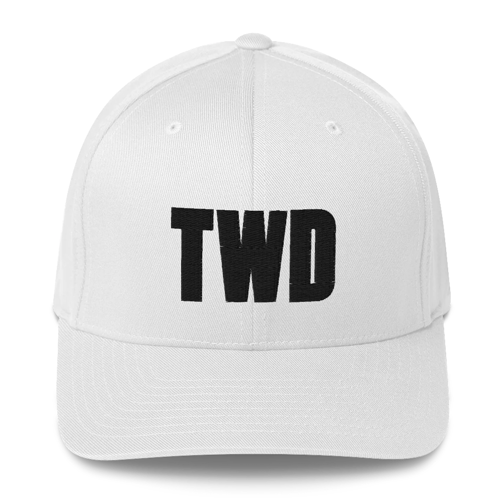 The Walking Dead Logo Embroidered Hat - Image 3