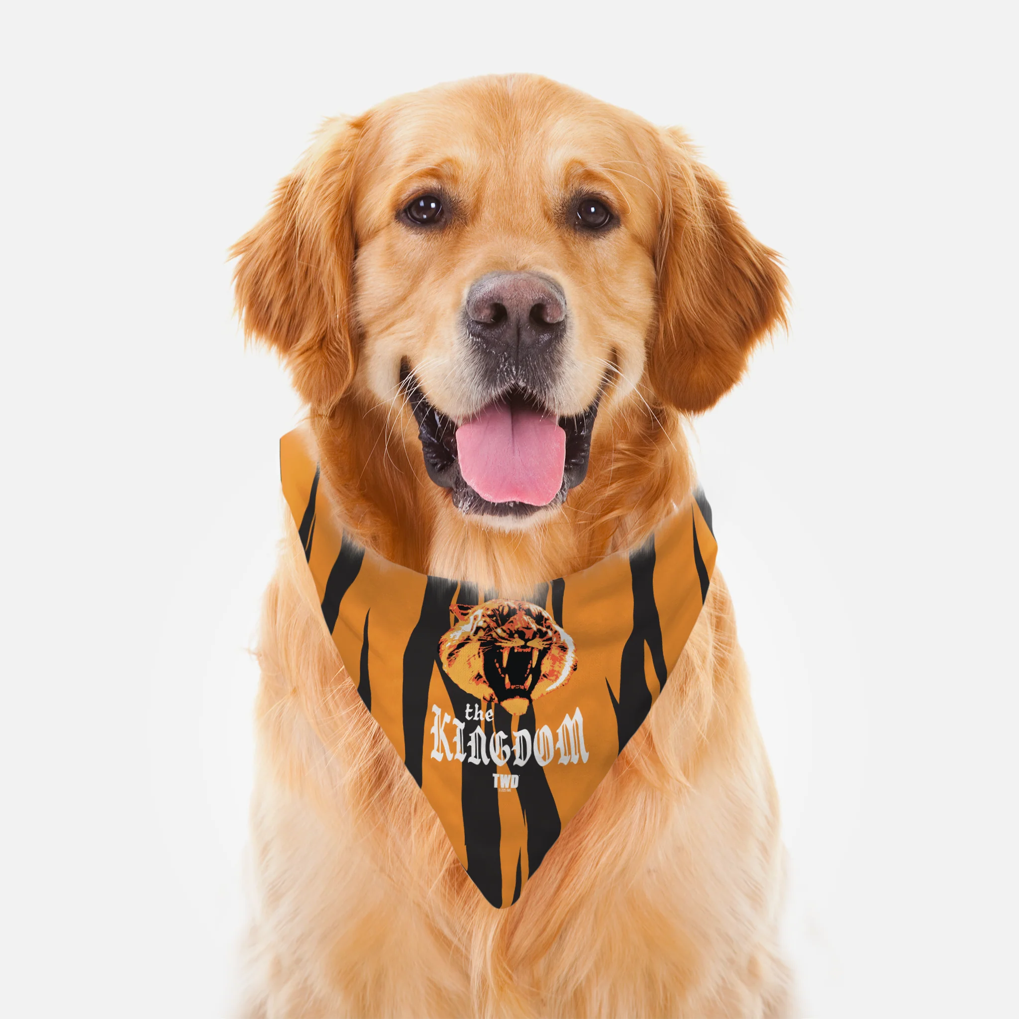 The Walking Dead The Kingdom Pet Bandana - Image 2